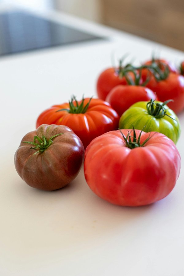 Savor the flavor: discover the best tomatoes varieties